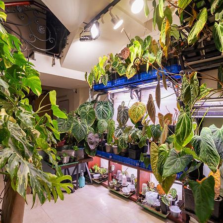 Amango Home ホーチミン市 エクステリア 写真