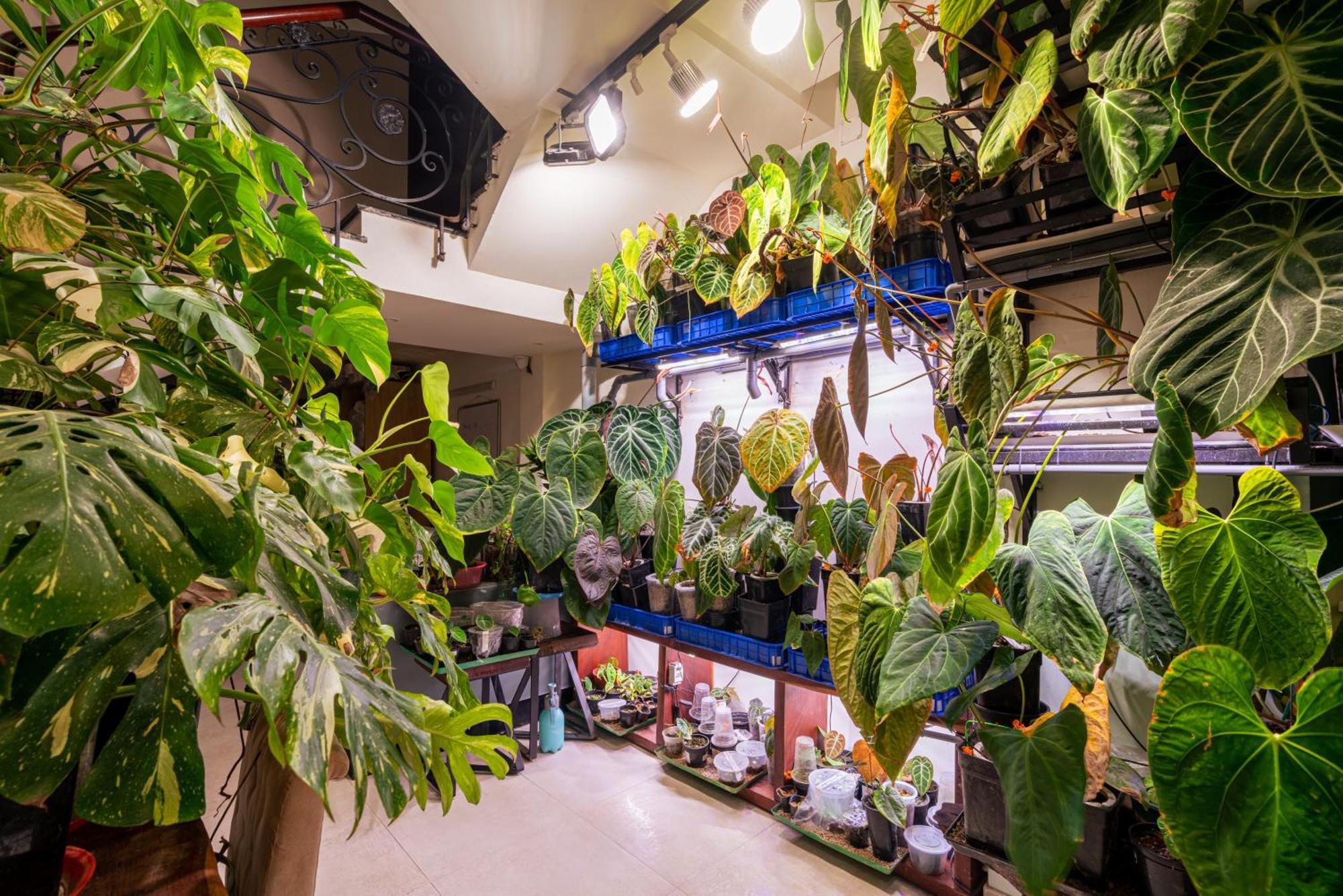 Amango Home ホーチミン市 エクステリア 写真